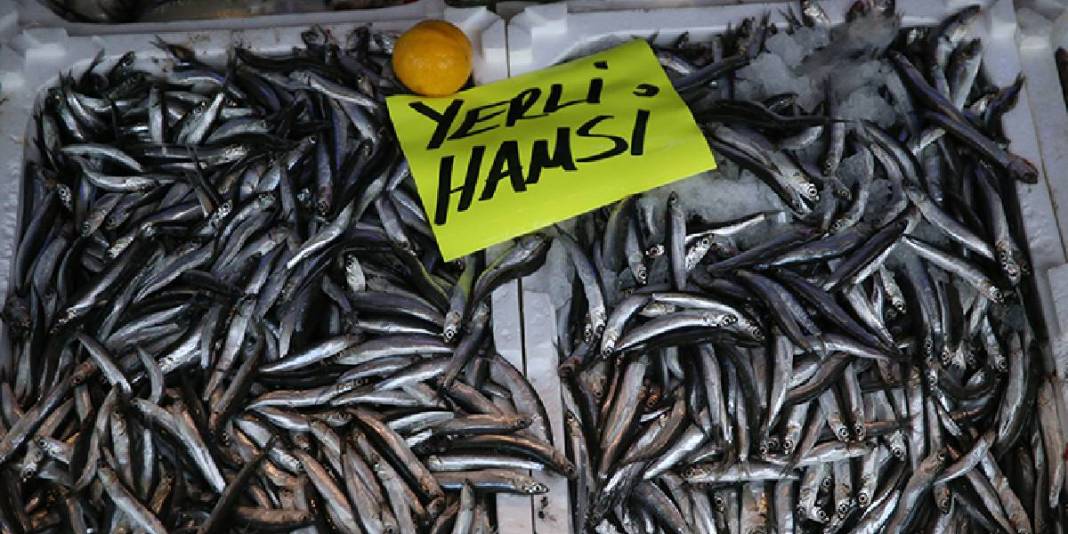 Hamsinin mevsimi geçmeden hazırlık başladı! Sofralar 4 mevsim bu lezzetle şenleniyor: Kilosu 1500 TL’den satışa sunuluyor 2